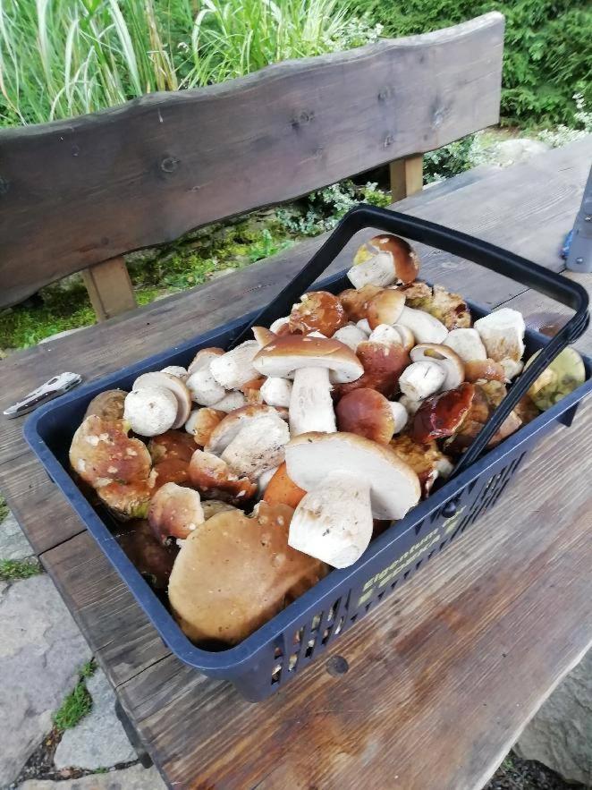 Chata Venda Lipno nad Vltavou Kültér fotó